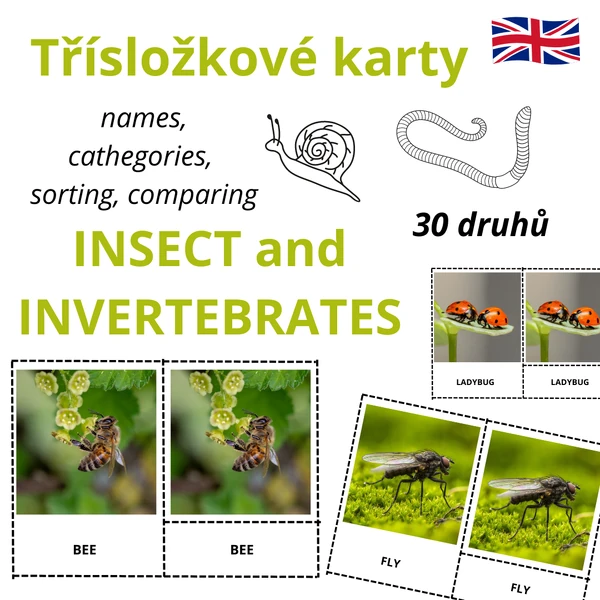 ANGLICKÉ Třísložkové karty - INVERTEBRATES (30 druhů)