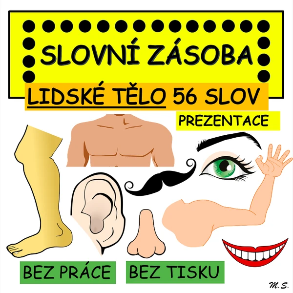 Slovní zásoba v prezentaci - BODY / LIDSKÉ TĚLO - žádný tisk a laminování