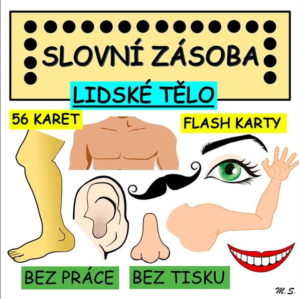 BODY - flashcards / LIDSKÉ TĚLO - flash karty