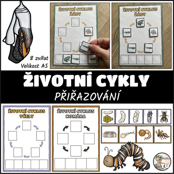 Životní cykly - procvičování, přiřazování