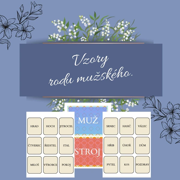 Vzory rodu mužského 