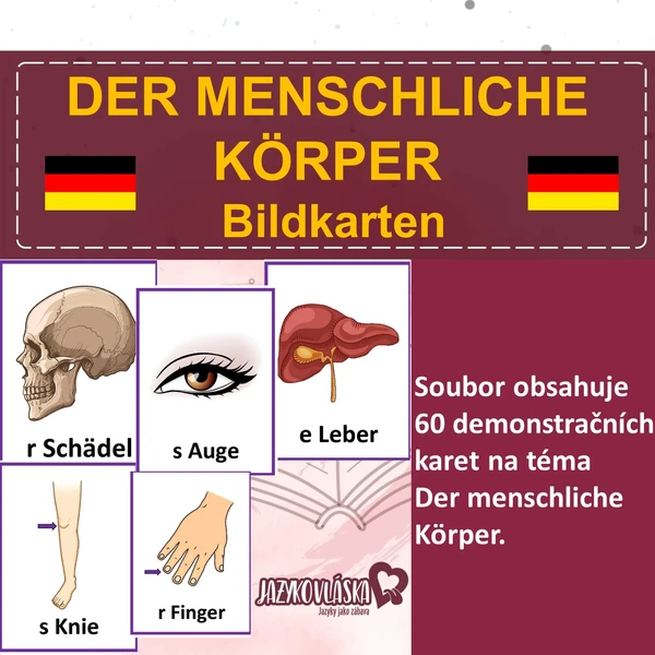 Der menschliche Körper Bildkarten