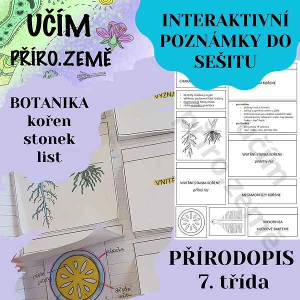 Interaktivní zápisky do sešitu - kořen, stonek, list