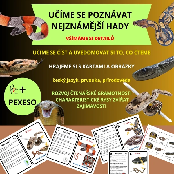 UČÍME SE POZNÁVAT NEJZNÁMĚJŠÍ HADY - další sada k aktivitě mimo lavice