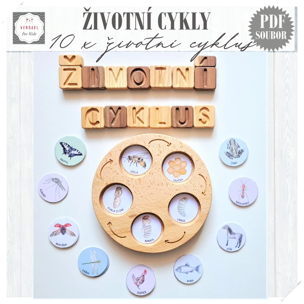 ŽIVOTNÍ CYKLUS - 10 vývojových cyklů