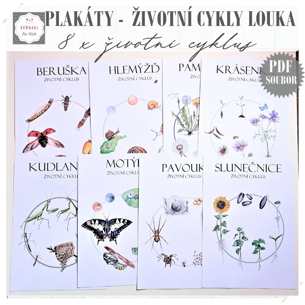 PLAKÁTY ŽIVOTNÍ CYKLY NA LOUCE