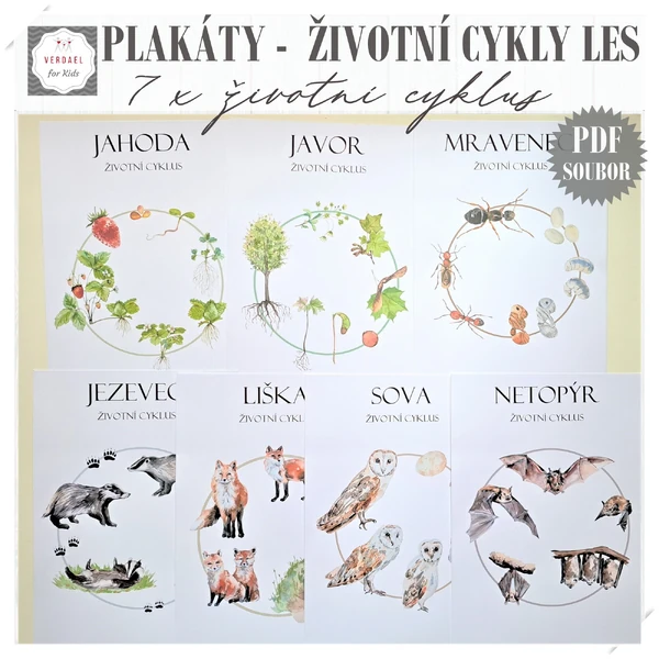 PLAKÁTY ŽIVOTNÍ CYKLY V LESE