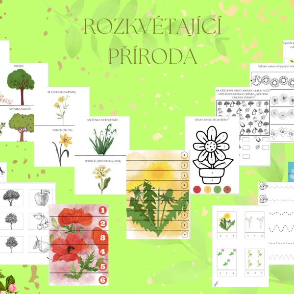 Rozkvétající příroda