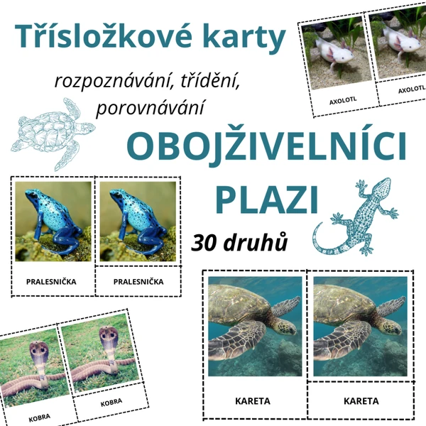 Třísložkové karty - OBOJŽIVELNÍCI, PLAZI (30 druhů)