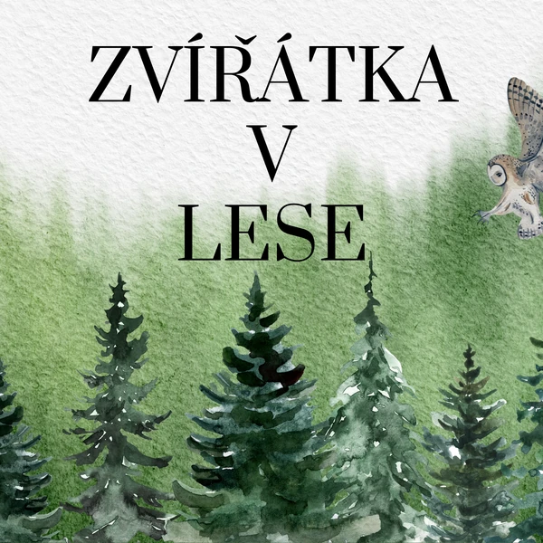 Zvířátka v lese