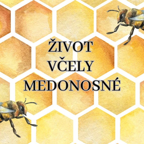 Život včely medonosné - demonstrační obrázky 