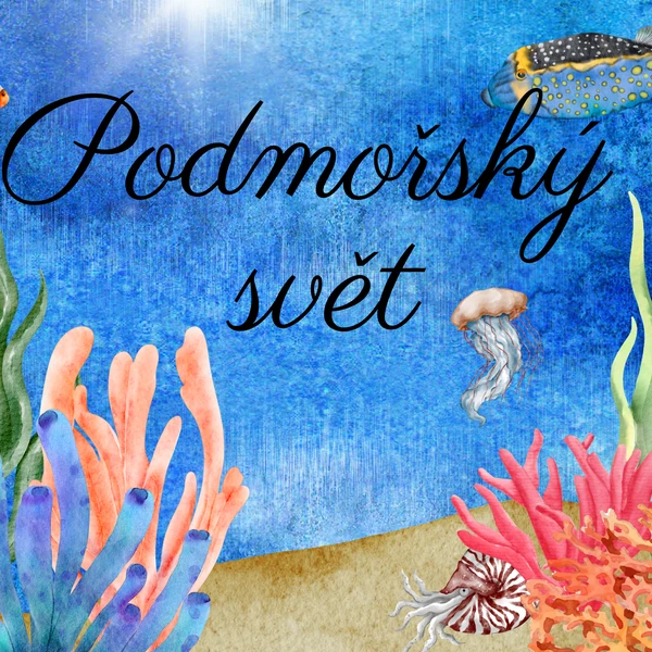 Podmořský svět - demonstrační obrázky