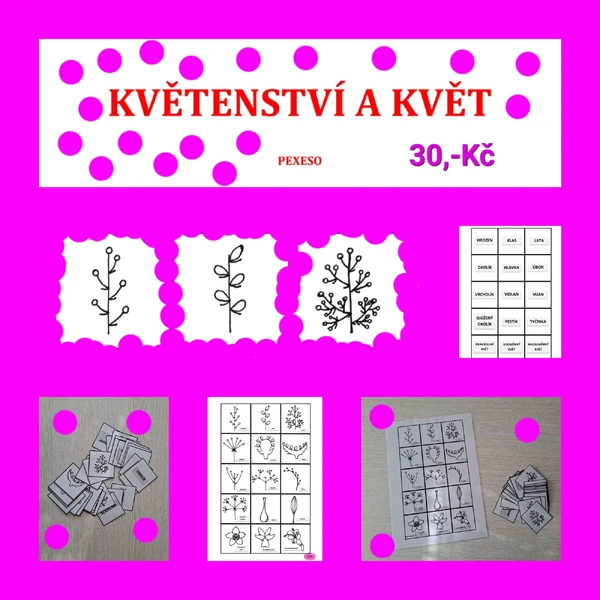 KVĚTENSTVÍ A KVĚT