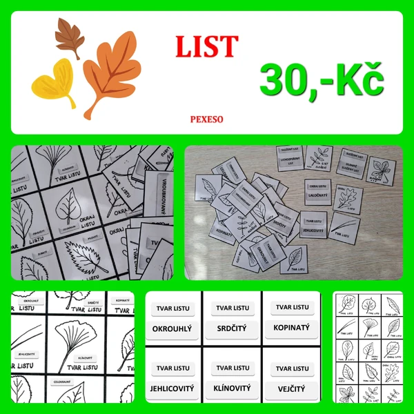 LIST