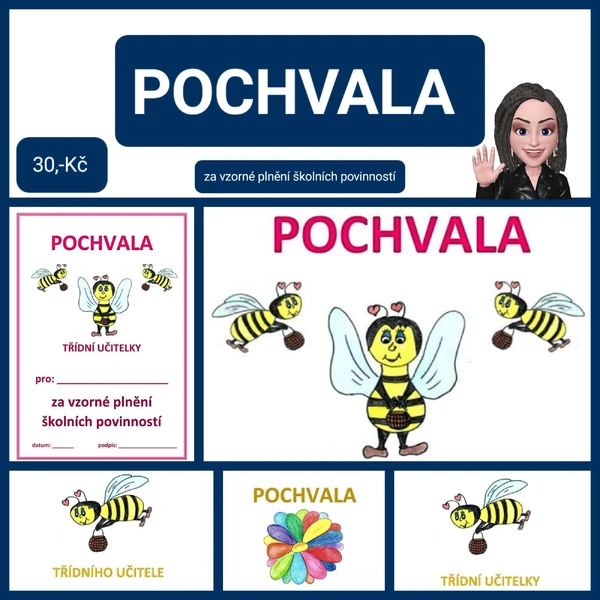 POCHVALY - VZORNÉ PLNĚNÍ ŠKOLNÍCH POVINNOSTÍ