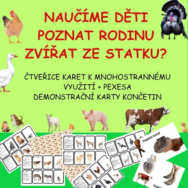 POZNÁVAČKA RODIN ZVÍŘAT - NĚKOLIK AKTIVIT