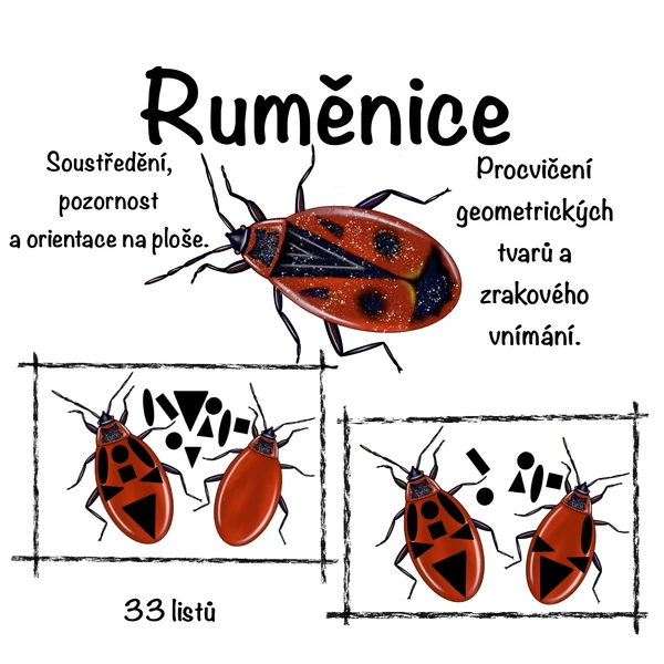 Hmyz - Ruměnice