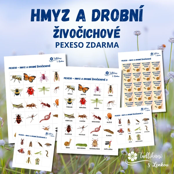Pexeso - Hmyz a drobní živočichové