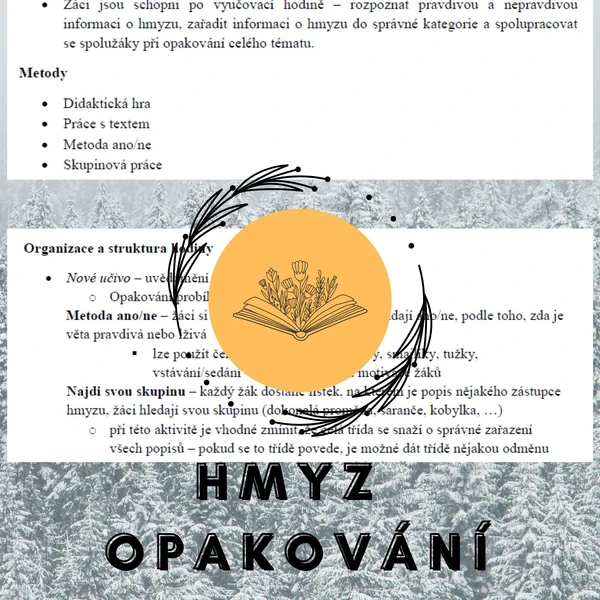 Plán vyučovací hodiny - Hmyz - opakování