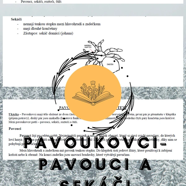Plán vyučovací hodiny – PAVOUKOVCI – pavouci a sekáči