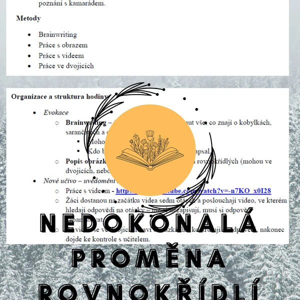 Plán vyučovací hodiny – hmyz – nedokonalá proměna - rovnokřídlí