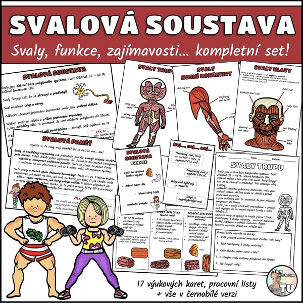 Svalová soustava (svaly) - kompletní set