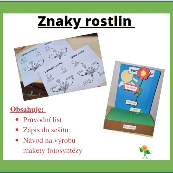 Znaky rostlin, fotosyntéza, dýchání rostlin