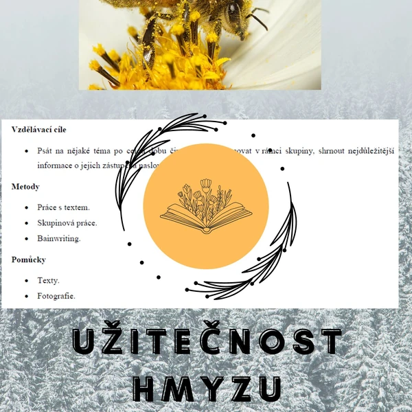 Příprava vyučovací hodiny - Hmyz a jeho užitečnost