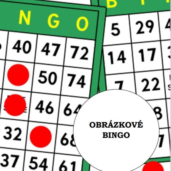 Obrázkové bingo 