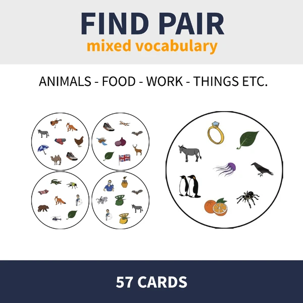ENG - A1 FIND PAIR / POSTŘEHOVKA (mixed vocabulary)