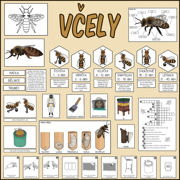 Včely