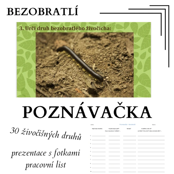 POZNÁVAČKA - bezobratlí (prezentace a pracovní listy)