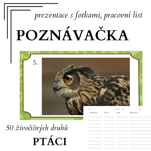 Poznávačka - PTÁCI (prezentace a pracovní listy)
