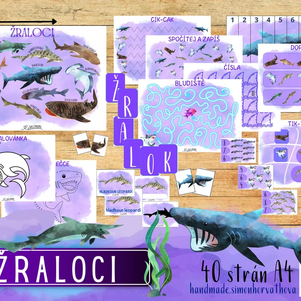 Žraloci, Živočichové, Pod mořskou hladinou, Podmořský svět, Oceán