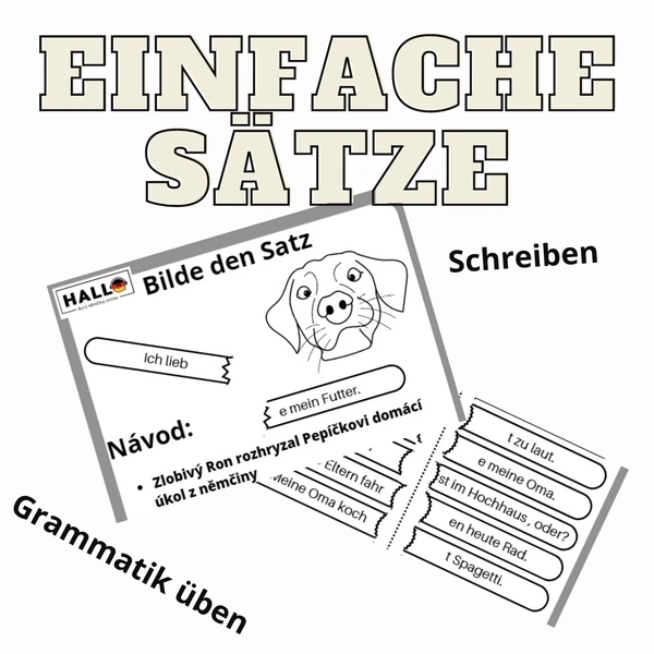 Bilde den Satz, einfache Sätze im Präsens