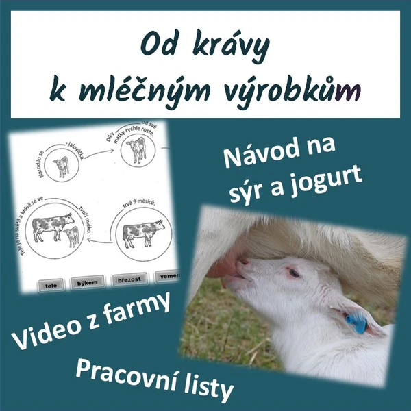 Od krávy k mléčným výrobkům