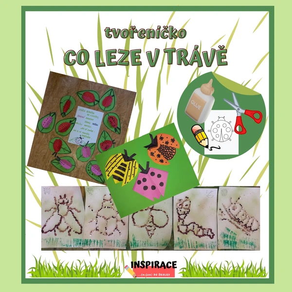 🐞 Tvořeníčko - CO LEZE V TRÁVĚ 🪲