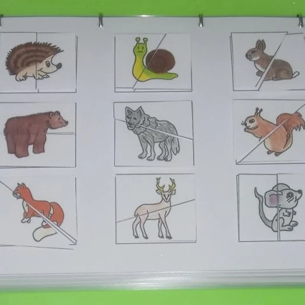 Poloviny zvířátek (výukový materiál) 
