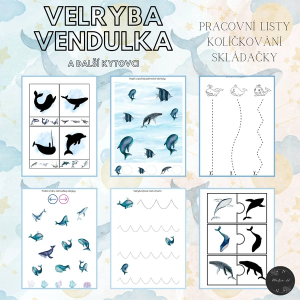 Velryba Vendulka a další kytovci, soubor aktivit