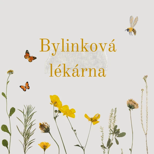 Bylinková lékárna