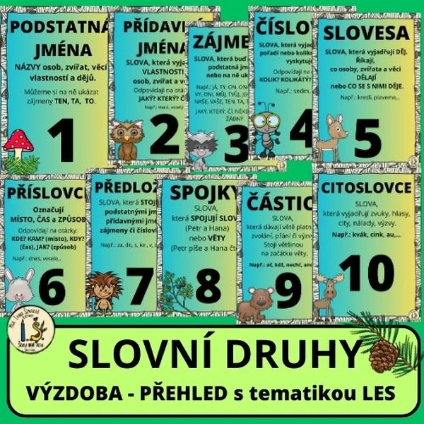 SLOVNÍ DRUHY - LES - PŘEHLED, VÝZDOBA