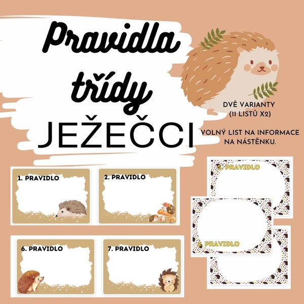 TŘÍDA JEŽEČKŮ_ PRAVIDLA TŘÍDY