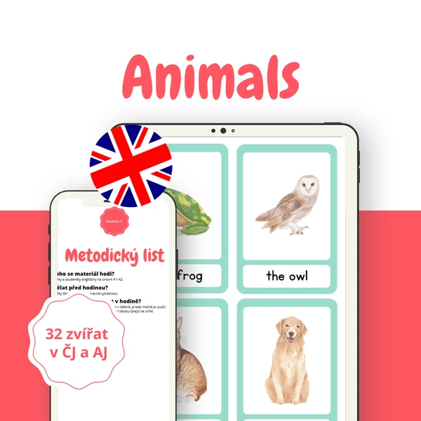 Animals - demonstrační obrázkové karty