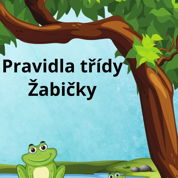 Pravidla Žabičky