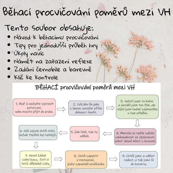 Běhací procvičování významových poměrů mezi VH