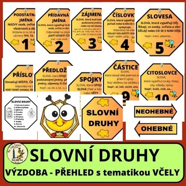 SLOVNÍ DRUHY - VČELY