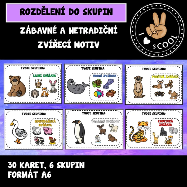 Rozdělení do skupin
