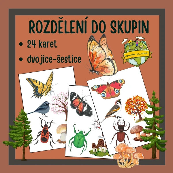 Rozdělení do skupin