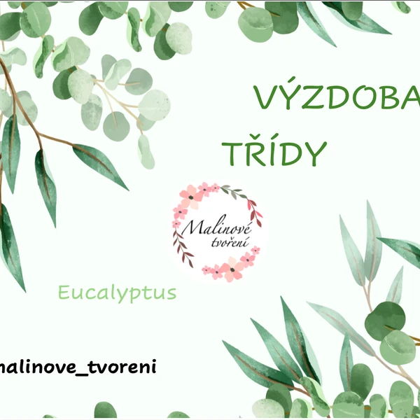 VÝZDOBA TŘÍDY - eucalyptus