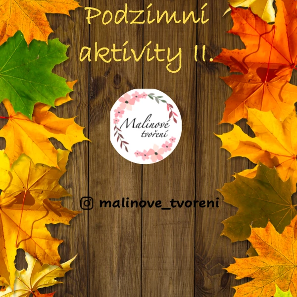 PODZIMNÍ AKTIVITY II.